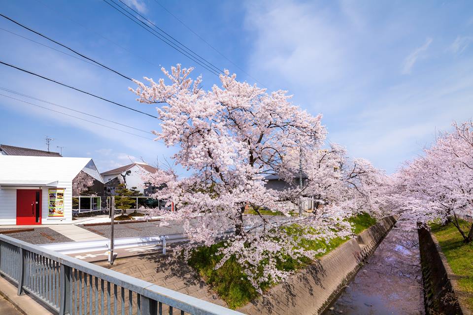 餐飲空間，咖啡廳設計，日本SEIKA MIRRORS咖啡廳，創意空間，白色建築