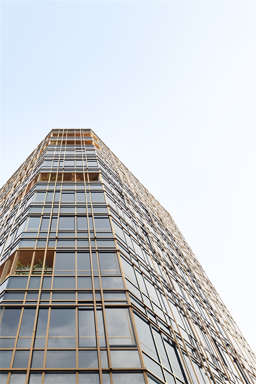 辦公空間，東京，辦公樓，Ikawaya Architects，Nendo