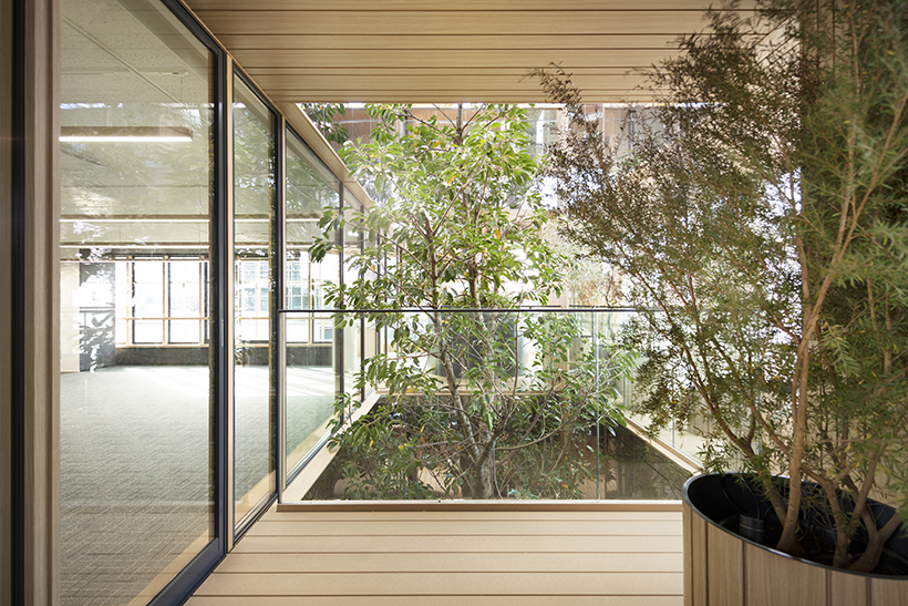 辦公空間，東京，辦公樓，Ikawaya Architects，Nendo