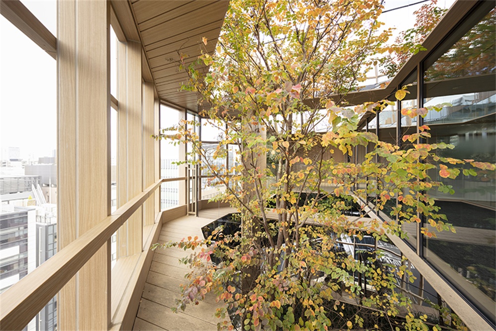 辦公空間，東京，辦公樓，Ikawaya Architects，Nendo