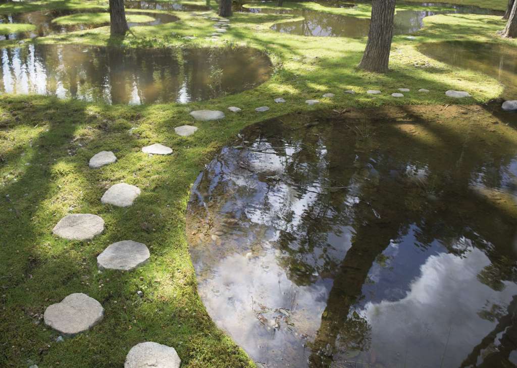 石上純也，日本栃木縣水上公園，建築邊界，junya.ishigami + associates ，石上純也設計