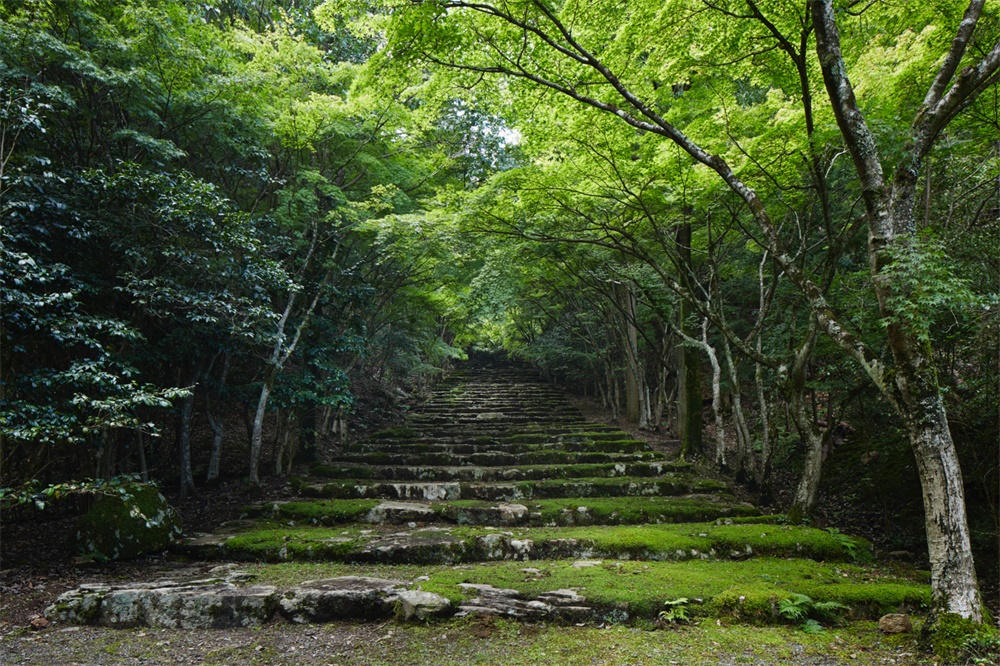 酒店空間，度假村，京都安縵，Kerry Hill