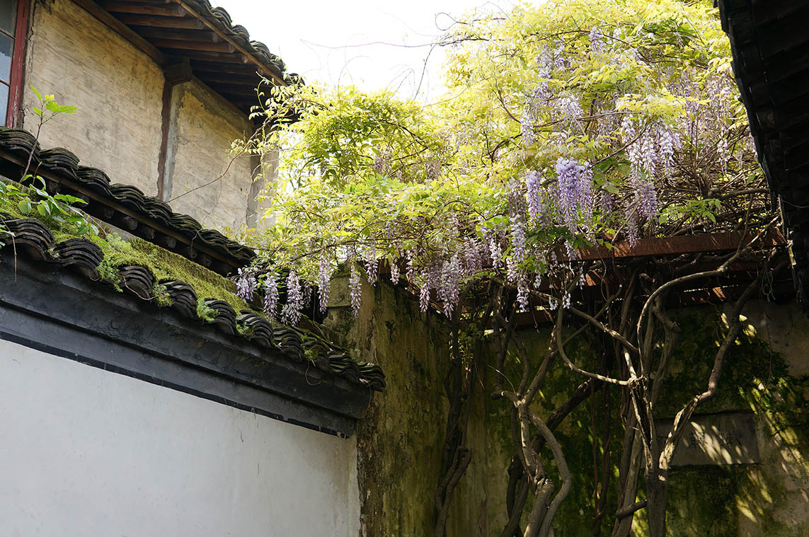 藝術館設計,現代藝術館設計,徐渭藝術館及青藤廣場,徐渭藝術館,青藤廣場遊客中心,青藤廣場,浙江大學建築設計研究院