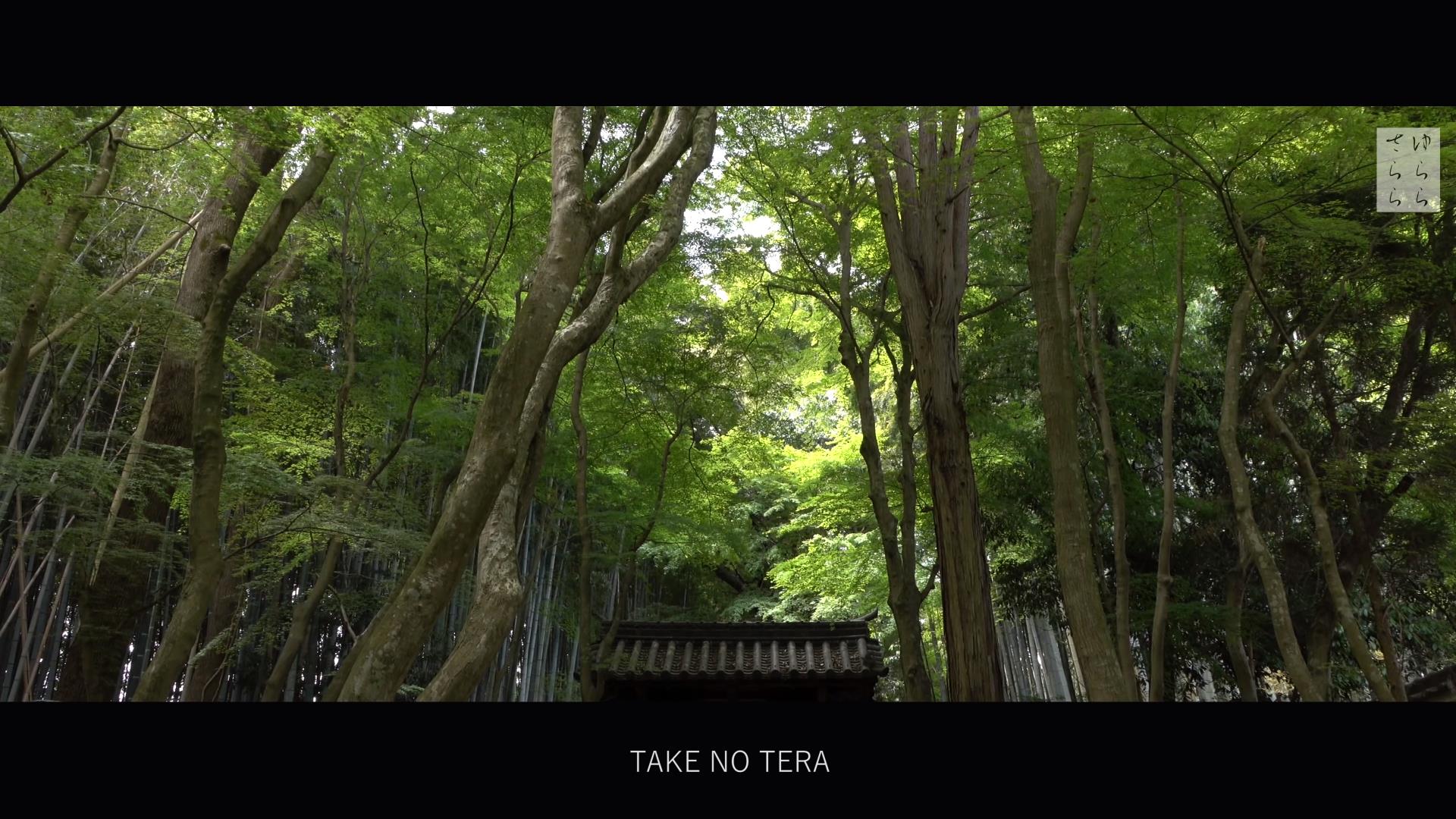 Wabi-Sabi-侘寂庭院,侘寂庭院,日本庭園,侘寂設計,日式侘寂庭院,100 KYOTO GARDENS,京都日本庭園100,侘寂視頻下載