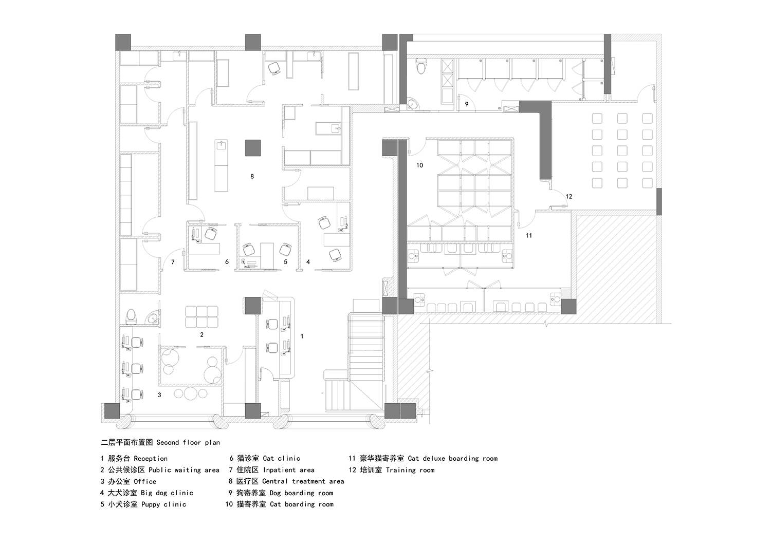 今朝風日好,廣州bibu寵物店,廣州寵物店設計,寵物醫院設計,李俊鵬,寵物店設計案例,今朝風日好設計