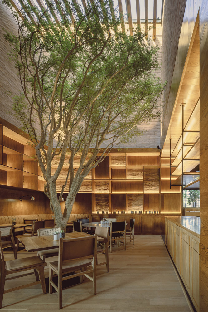 餐廳設計,0studio Arquitectura,休閑餐廳設計,Sal de Jade Restaurant; Spence,現代風格餐廳設計案例,510㎡,墨西哥