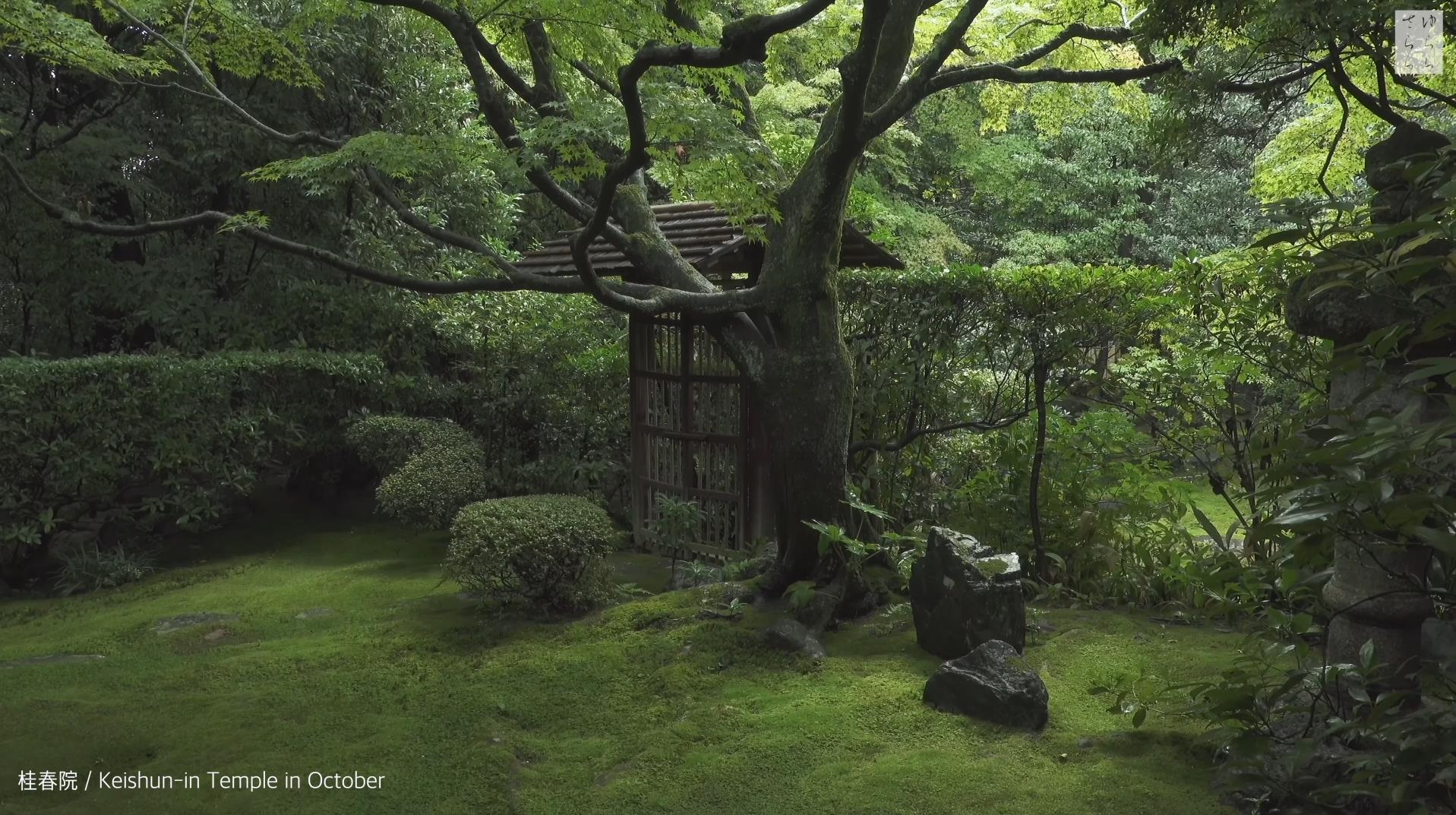 Wabi-Sabi-侘寂庭院,侘寂庭院,京都,侘寂設計,侘寂視頻下載,日式侘寂庭院