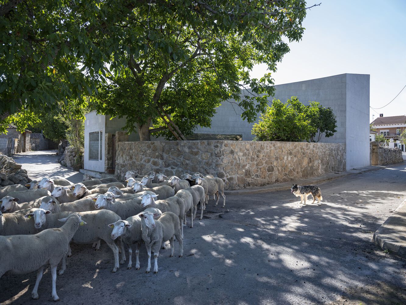 Raúl Almenara,西班牙,住宅設計,國外住宅設計案例,極簡風格,庭院住宅,獨棟住宅,140㎡,鄉村住宅設計