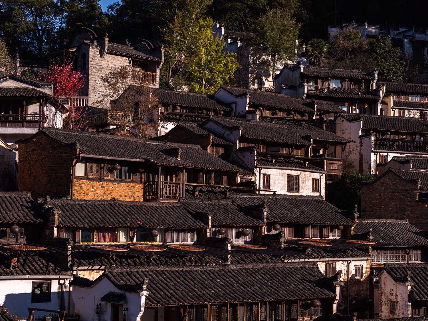 村莊改造,古村改造,旅遊區村莊改造設計,鄉村改造設計,景觀改造,江西婺源篁嶺古村改造,江西婺源,婺源縣村莊文化傳媒有限公司