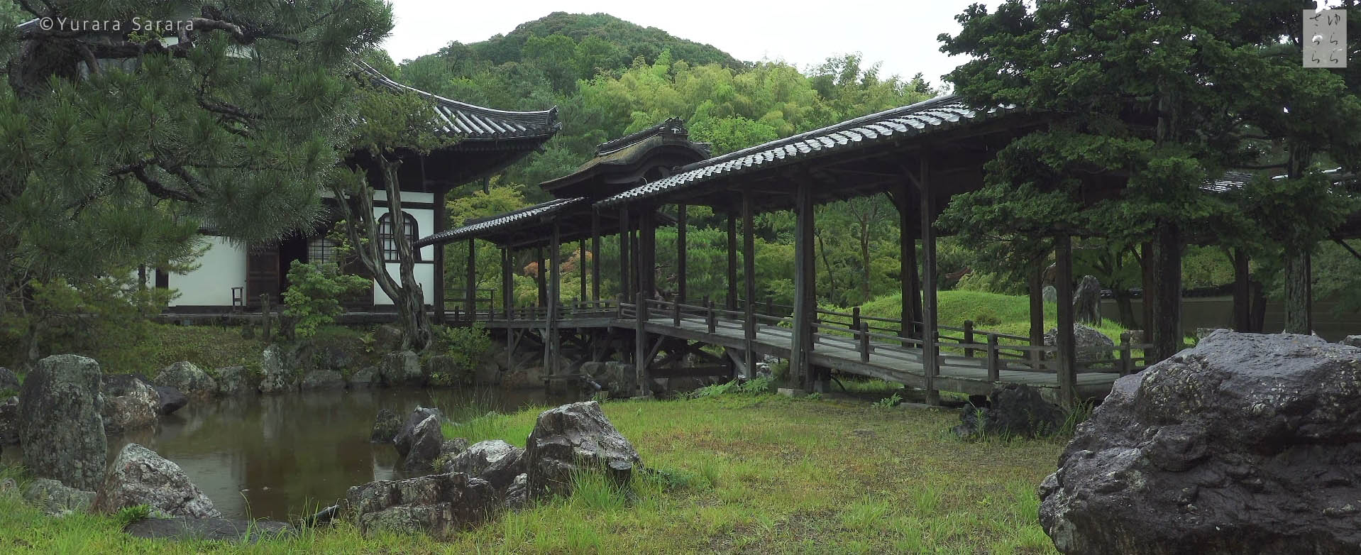 Wabi-Sabi-侘寂庭院,侘寂庭院,日本,侘寂設計,侘寂視頻下載,日式侘寂庭院