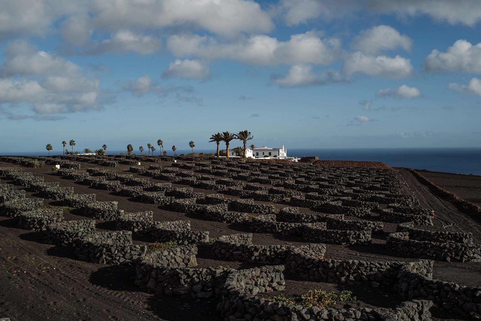 Virginia Nieto,酒店設計,César Lanzarote Hotel,酒店設計案例,酒店設計方案,海景度假酒店,西班牙,大加那利